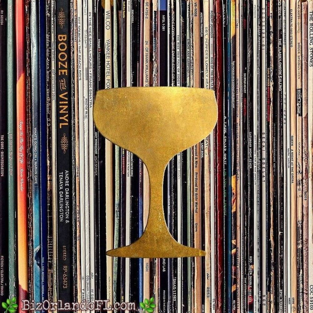 Booze & Vinyl : A Spirited Guide to Great Music & Mixed Drinks Tenaya Darlington